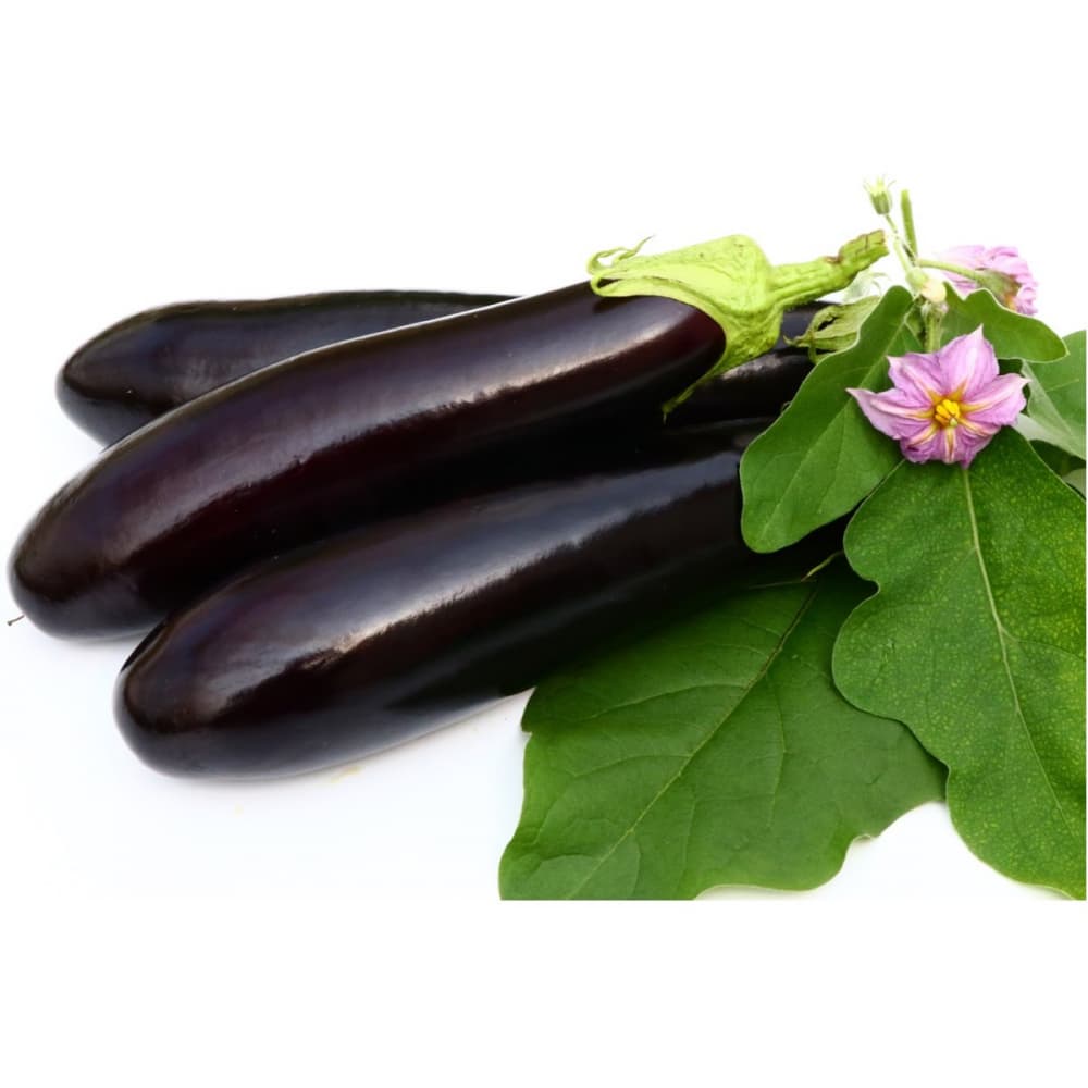 فروش بادمجان قلمی درجه 1 + قیمت خرید به صرفه